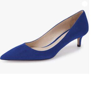 YDN Royal Blue Suede Kitten Heel Pumps Pointed Toe Dress Shoes for Office Lady